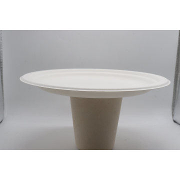 Biodegradable Sugarcane Bagasse Plate with Corn Starch